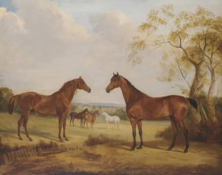 William Webb - Landscape with five horses: the Duke of Wellington\'s \'Copenhagen\'; Sir John Water\'s \'Bitter\'; the Duke of Wellington\'s chestnut mare and white Arabian; and Lord FitzRoy Somerset\'s bay mare ridden at Waterloo
