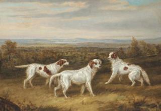 William Webb - Three Setters in a landscape