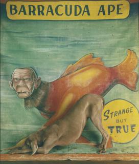 William Wegman - \'Ape + Bow\'