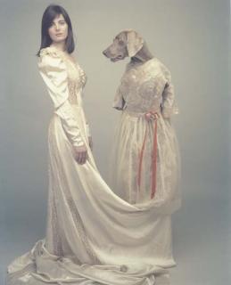 William Wegman - Arm Envy, 1989