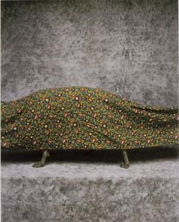 William Wegman - Auto