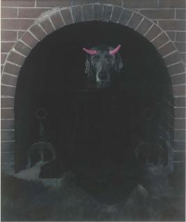 William Wegman - Bad Dog, 1981