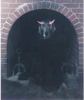 William Wegman - Bad Dog