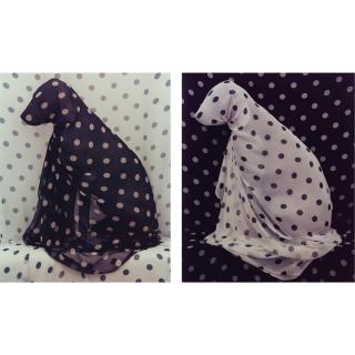 William Wegman - \'Black And White\'