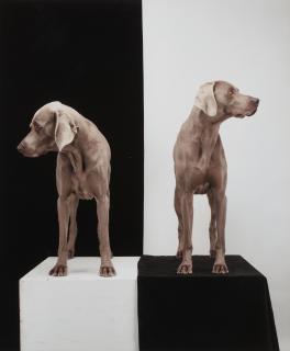 William Wegman - Board Games