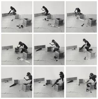 William Wegman - Building a Box