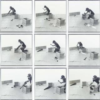 William Wegman - Building a Box