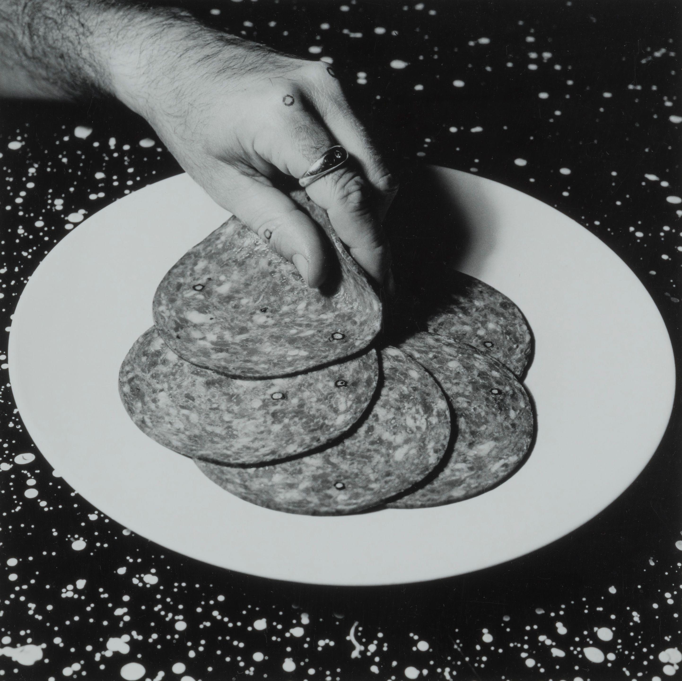 William Wegman - Cotto