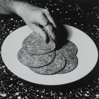 William Wegman - Cotto