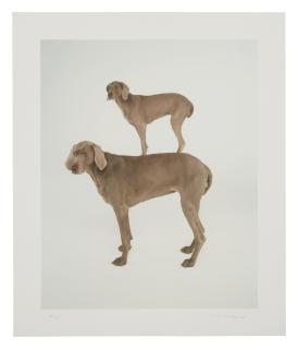 William Wegman - Dog And Pony, 1997