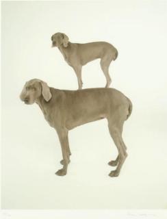 William Wegman - Dog and Pony, 1997