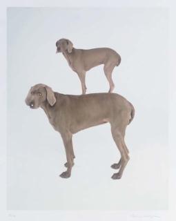 William Wegman - Dog and Pony