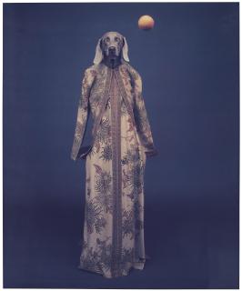 William Wegman - Dressed For