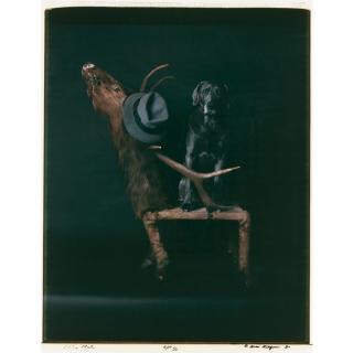 William Wegman - Elks Club