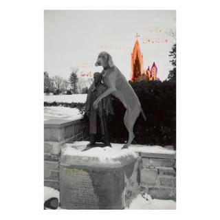 William Wegman - \'Embrace\'