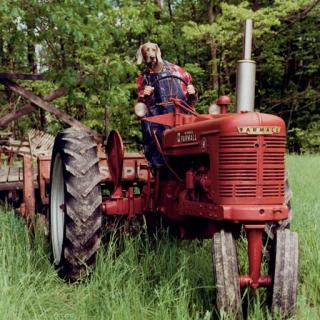 William Wegman - Farmall Et Farmer Of The Farm