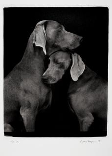 William Wegman - Friends, 2010