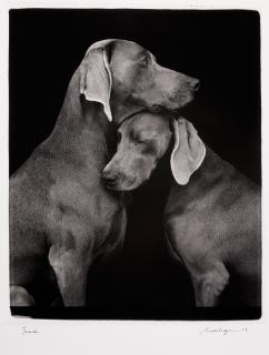 William Wegman - Friends, 2010