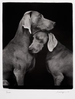 William Wegman - Friends