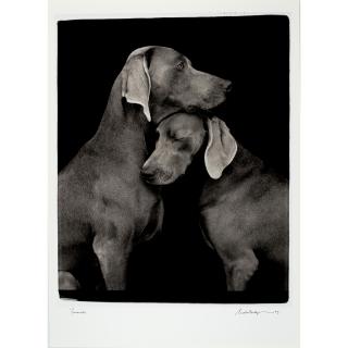 William Wegman - Friends