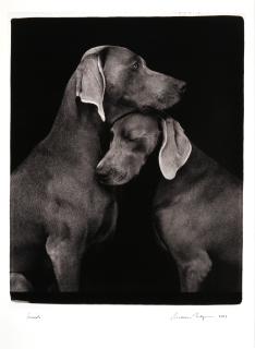 William Wegman - Friends