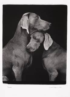 William Wegman - Friends