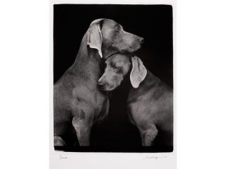 William Wegman - Friends
