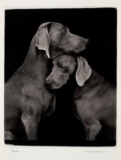 William Wegman - Friends