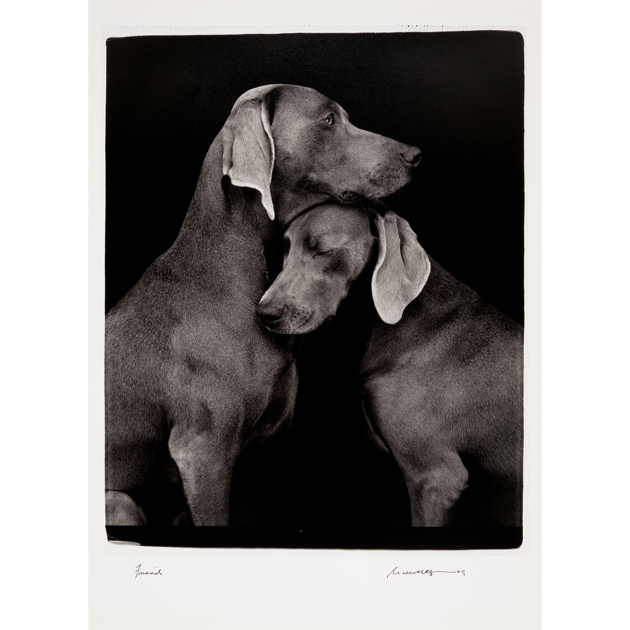 William Wegman - Friends