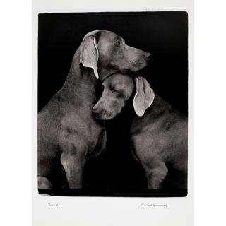 William Wegman - Friends