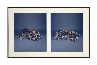 William Wegman - Garden, 1982