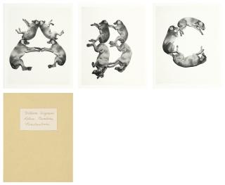 William Wegman - \'Letters, Numbers, Punctuation\'