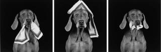 William Wegman - Orderly, Nurse, Patient