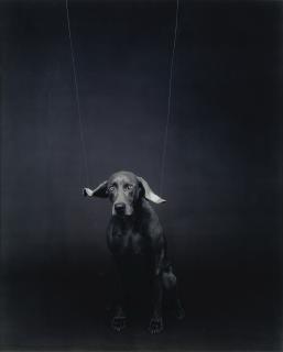 William Wegman - Puppet (Fay And Marionette), 1989 Closed Shadow, 1995Two Unique Large-Format Polaroid Prints. Flush-Mounted On Card. Signed, Titled And Dated. Framed.