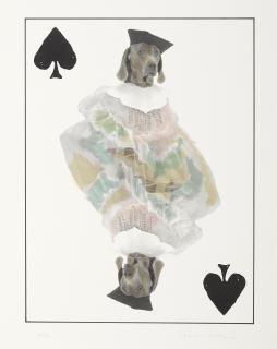 William Wegman - Royal Flush: Spades 5