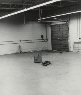 William Wegman - \'Small Car/Box\'