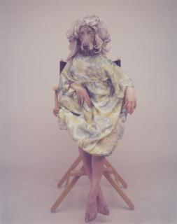 William Wegman - Split Finger, 1991