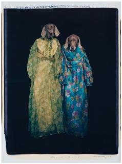 William Wegman - \