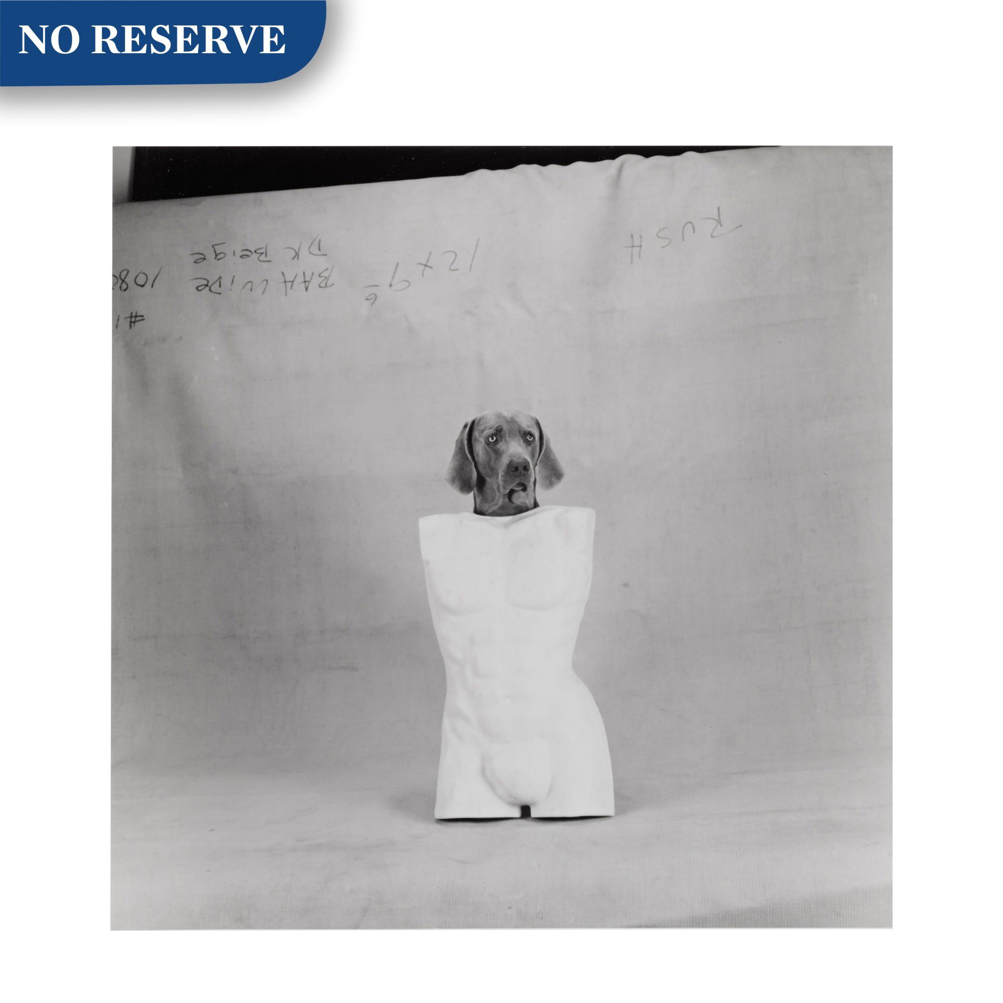 William Wegman - \'Torso Head\'