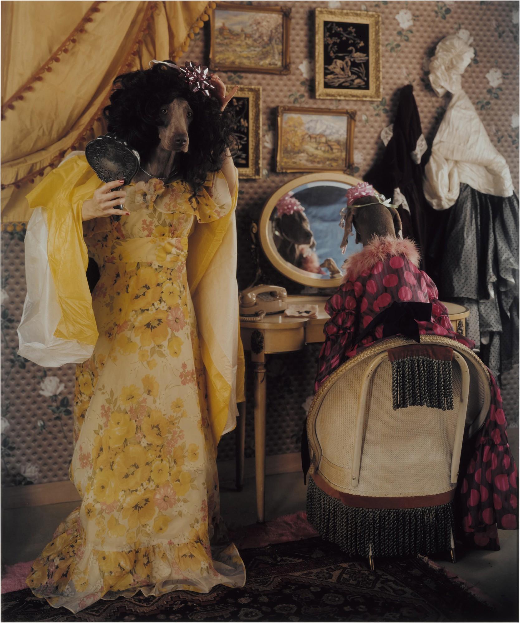 William Wegman - Untitled (Stepsisters Prepare) (from Cinderella)