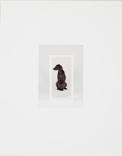 William Wegman - Up and In