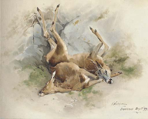 William Woodhouse - Dead Stags