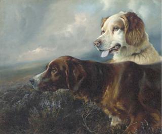 William Woodhouse - Setters on a moor