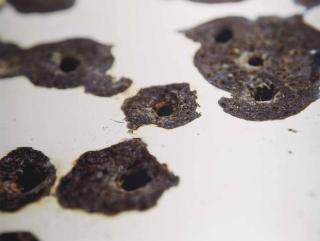 Willie Doherty - Bullet Holes, 1995