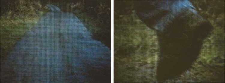 Willie Doherty - Contemplating The Consequences of Political Failure (The Unidentified Man Scene), 1998