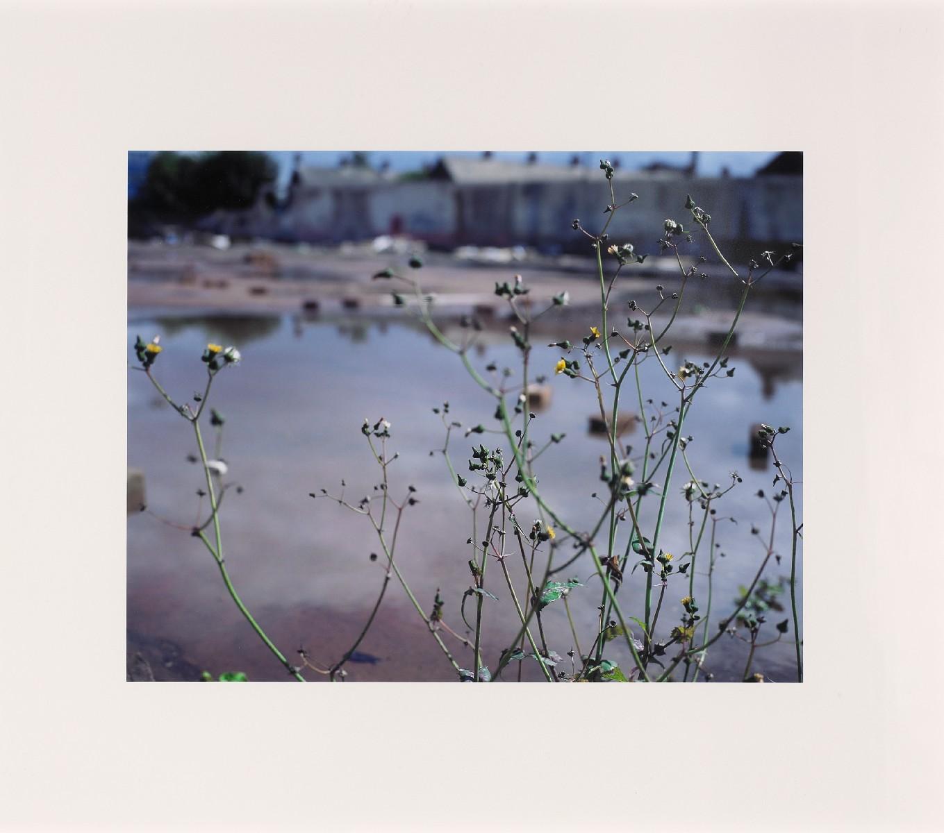 Willie Doherty - »Wasteground«