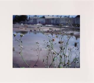 Willie Doherty - »Wasteground«