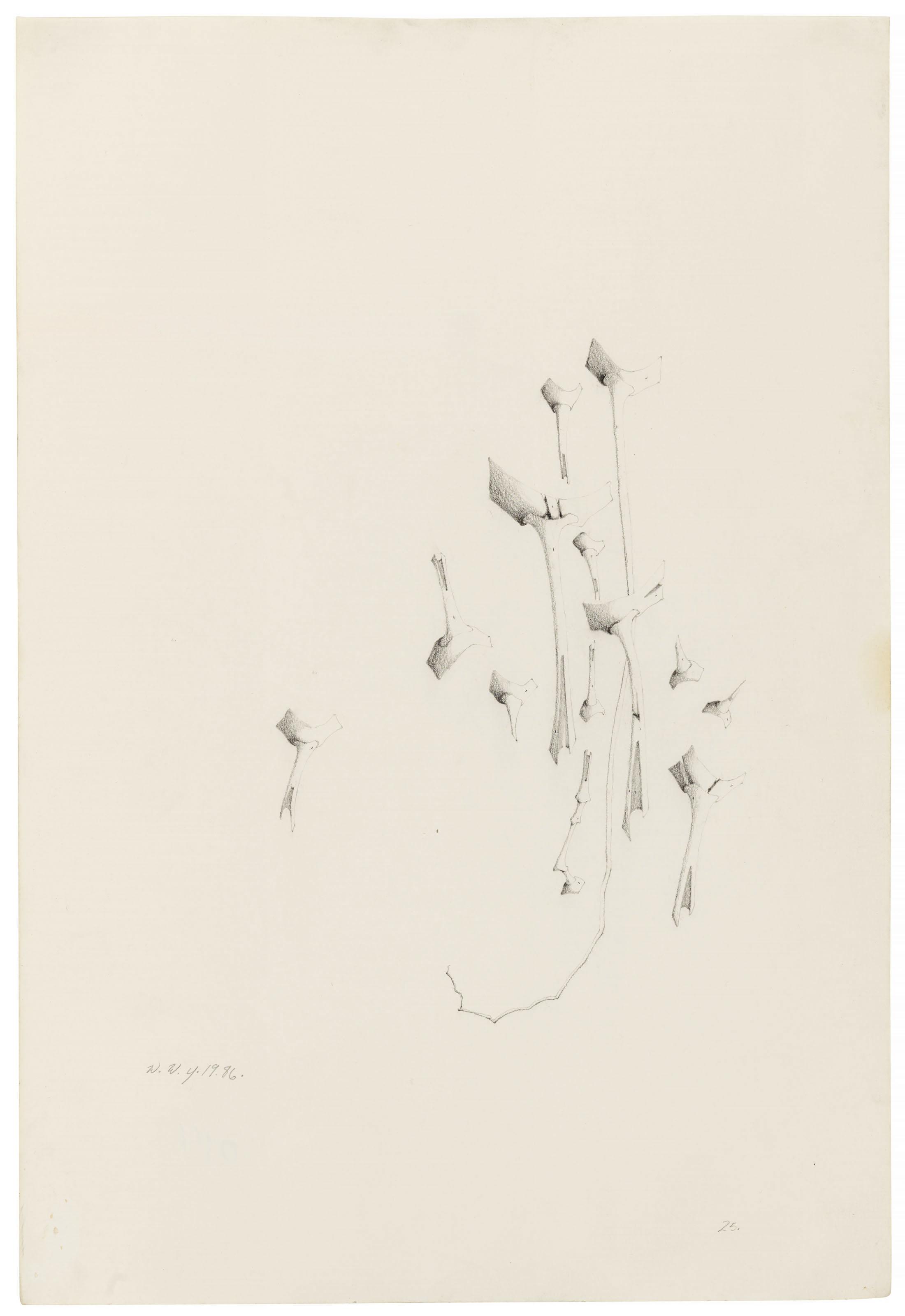 Willie Young - Untitled, 1986