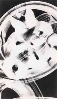 Willy Kessels - Untitled