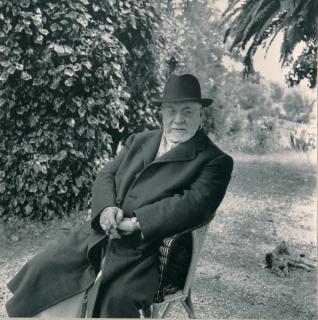 Willy Maywald - Henri Matisse in seinem Garten in Vence.